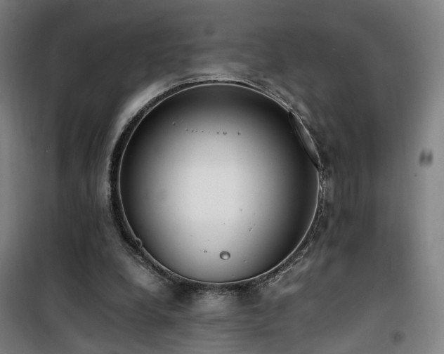 X0000101660248200807101301