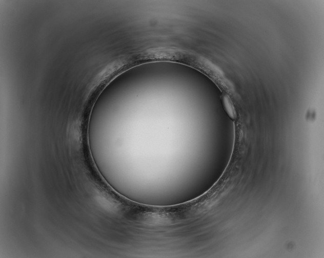 X0000101660250200807101301