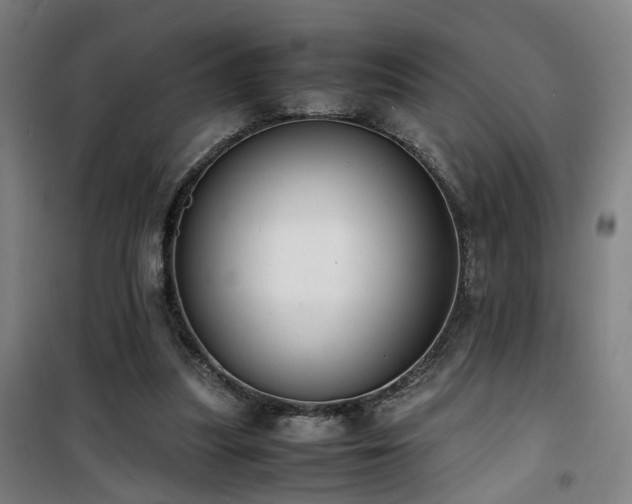 X0000101660251200807101301