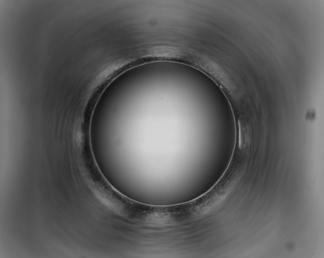 X0000101660252200807101301