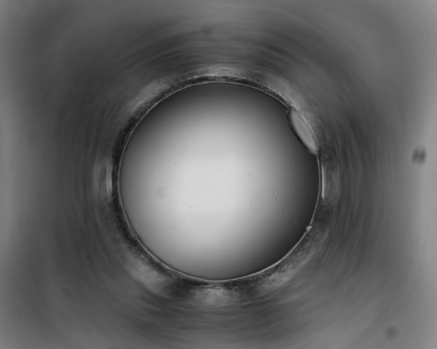 X0000101660253200807101301