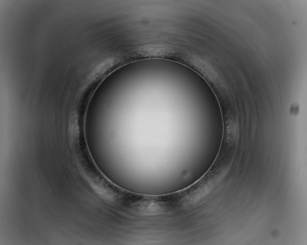 X0000101660254200807101301