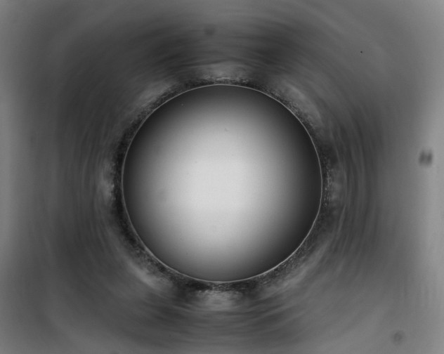 X0000101660255200807101301