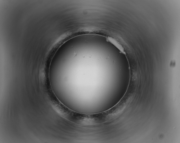 X0000101660256200807101301