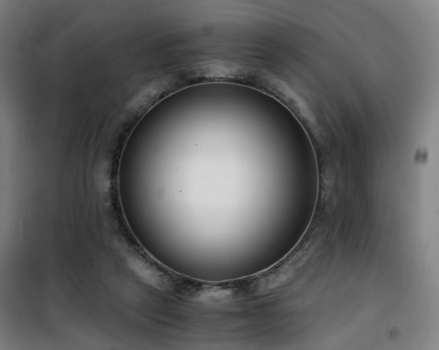 X0000101660257200807101301