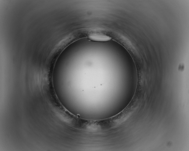 X0000101660258200807101301