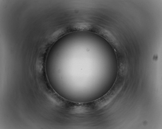 X0000101660259200807101301