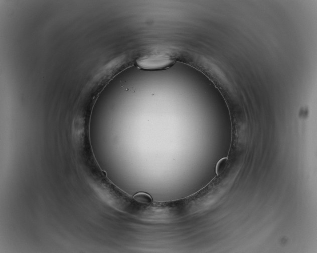 X0000101660260200807101301