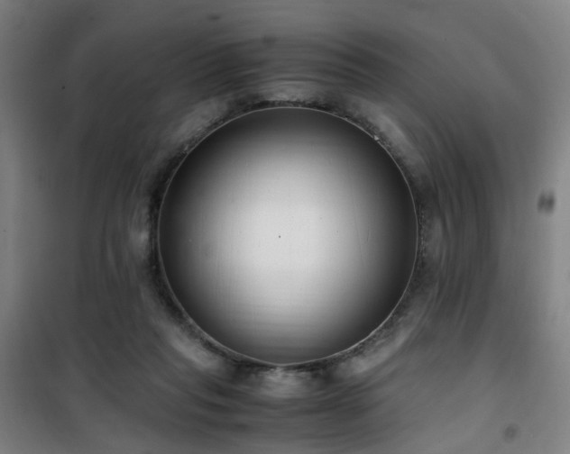 X0000101660261200807101301