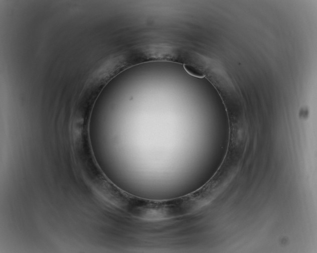 X0000101660263200807101301