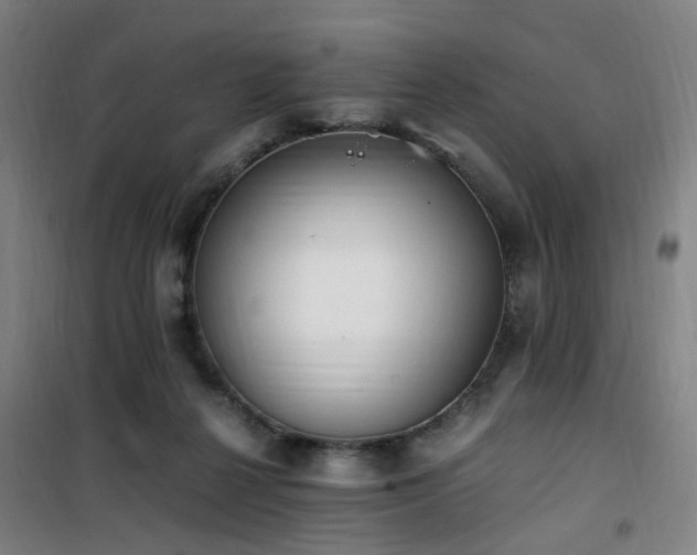 X0000101660264200807101301