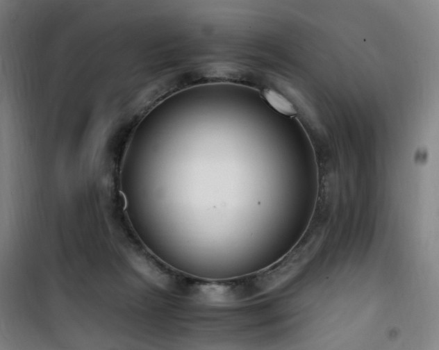 X0000101660265200807101301