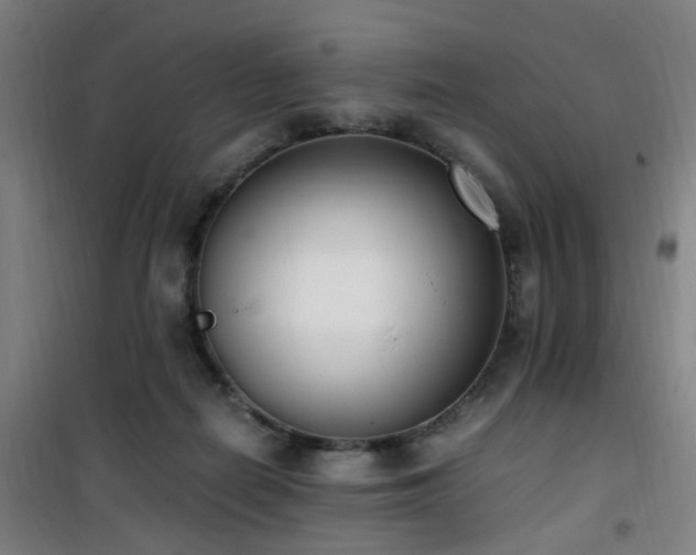 X0000101660266200807101301