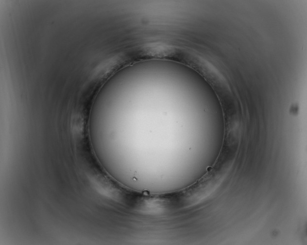 X0000101660268200807101301