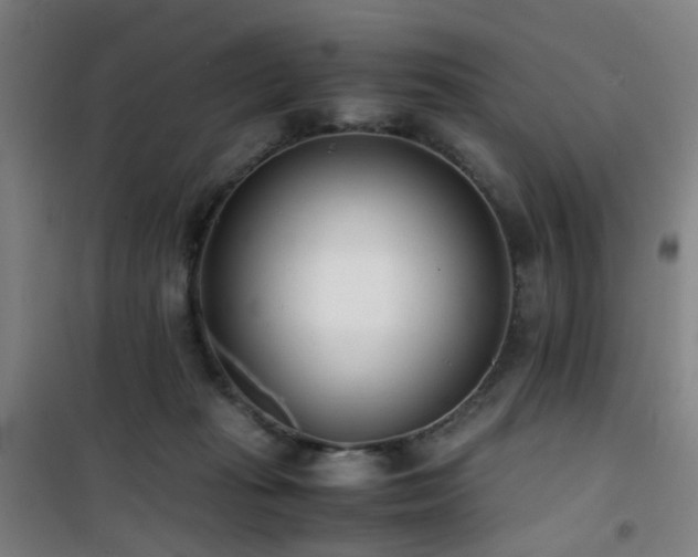 X0000101660269200807101301