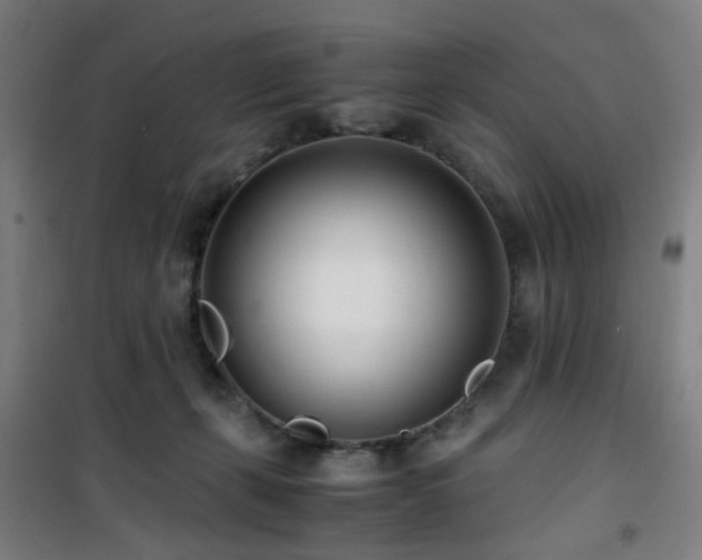 X0000101660271200807101301