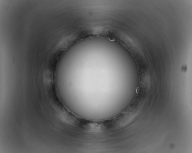 X0000101660272200807101301