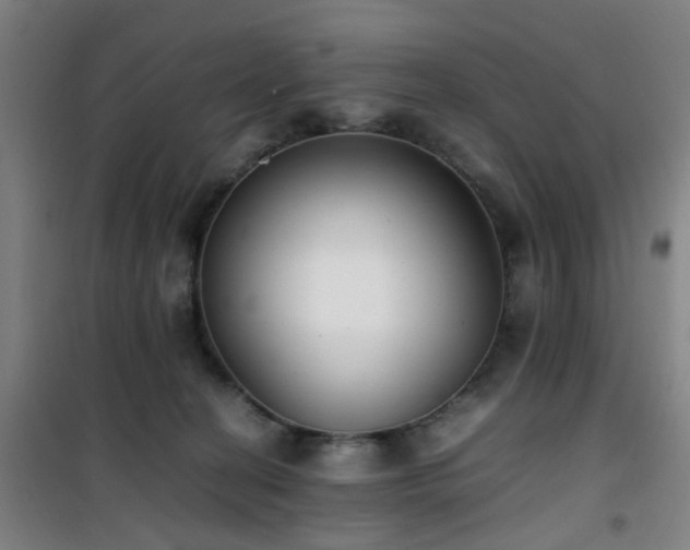 X0000101660274200807101301