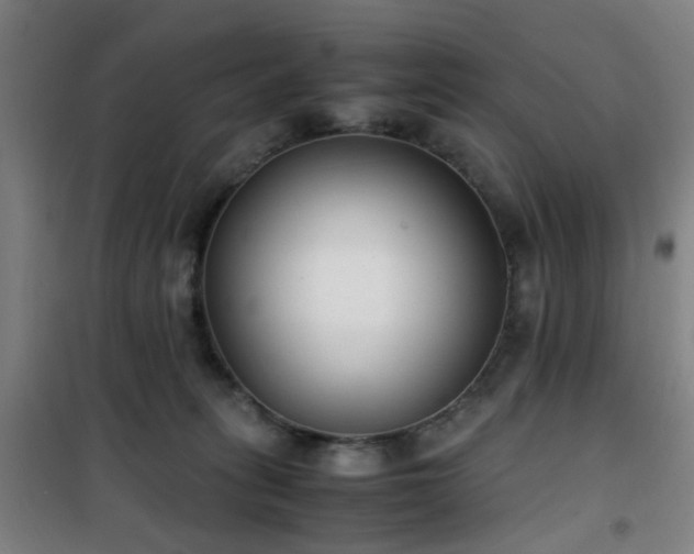 X0000101660275200807101301