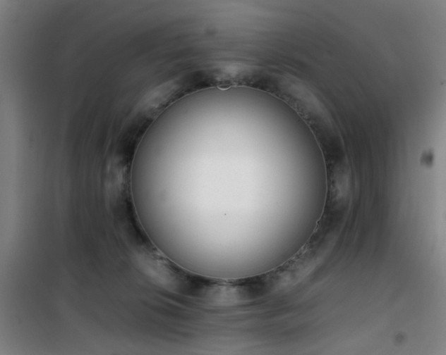 X0000101660276200807101301