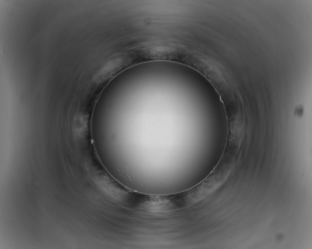 X0000101660278200807101301