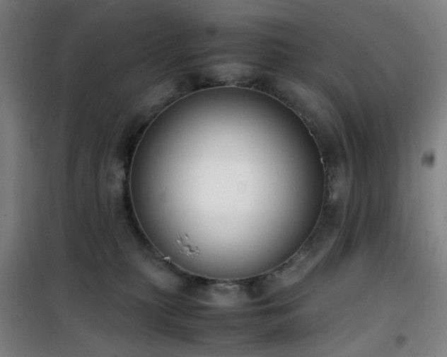 X0000101660279200807101301