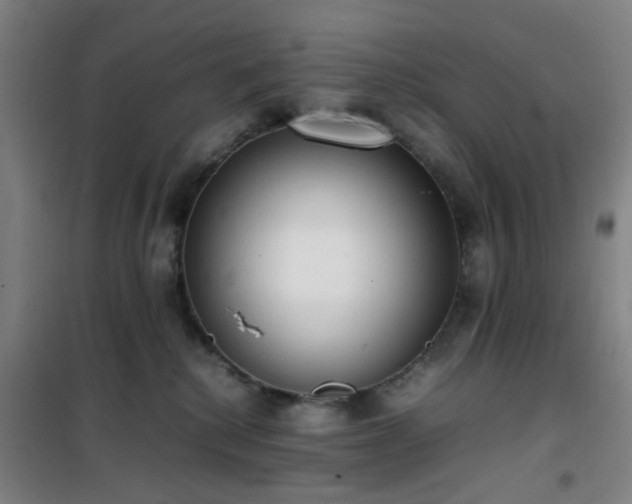 X0000101660280200807101301