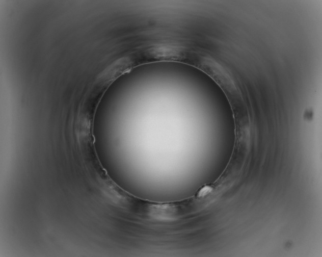 X0000101660281200807101301