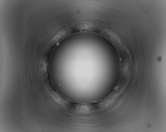 X0000101660282200807101301