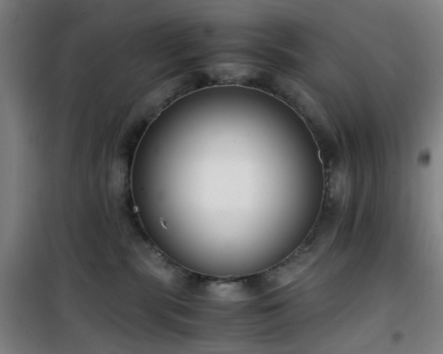 X0000101660283200807101301