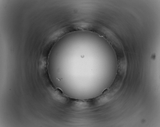 X0000101660284200807101301