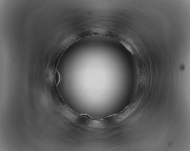 X0000101660285200807101301