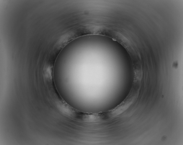 X0000101660286200807101301