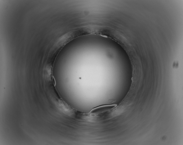 X0000101660288200807101301