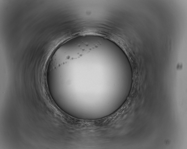 X0000101660289200807101300