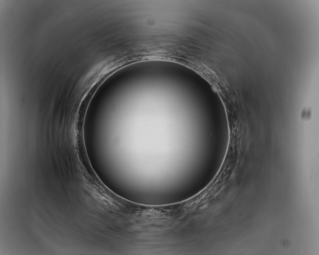 X0000101660290200807101300