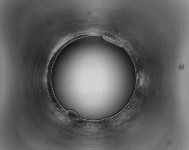 X0000101660292200807101300