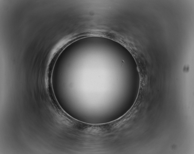 X0000101660294200807101300