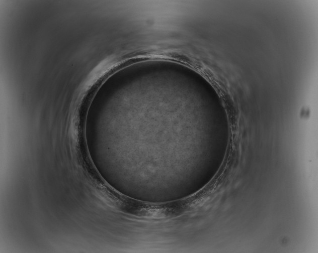 X0000101660295200807101300