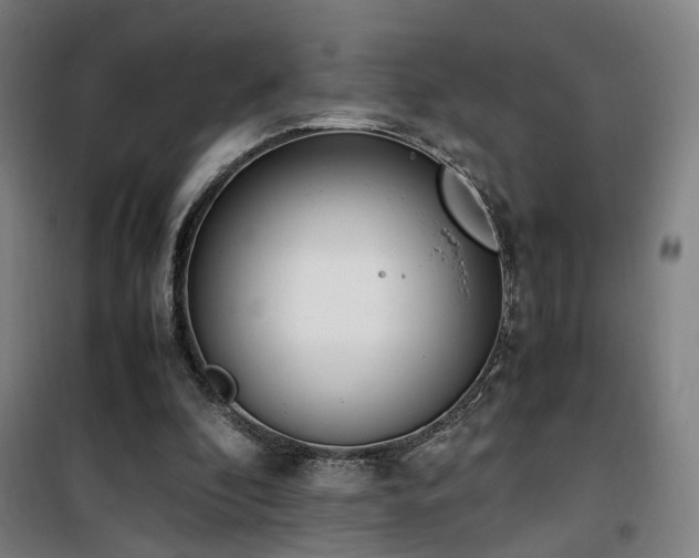 X0000101660296200807101300