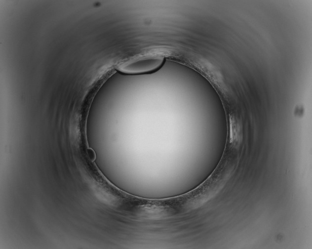 X0000101660300200807101300