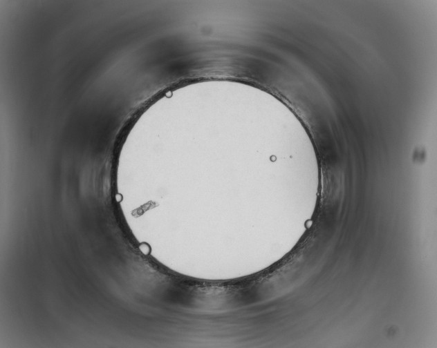 X0000101660301200807101300