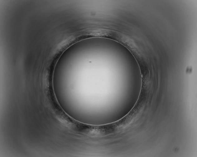 X0000101660303200807101300