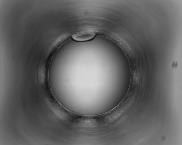 X0000101660304200807101300