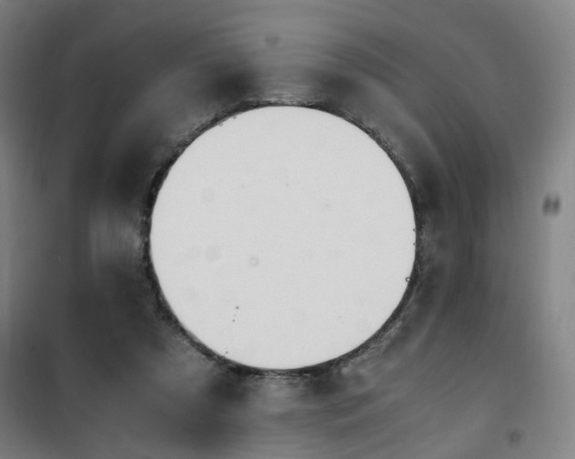 X0000101660305200807101300