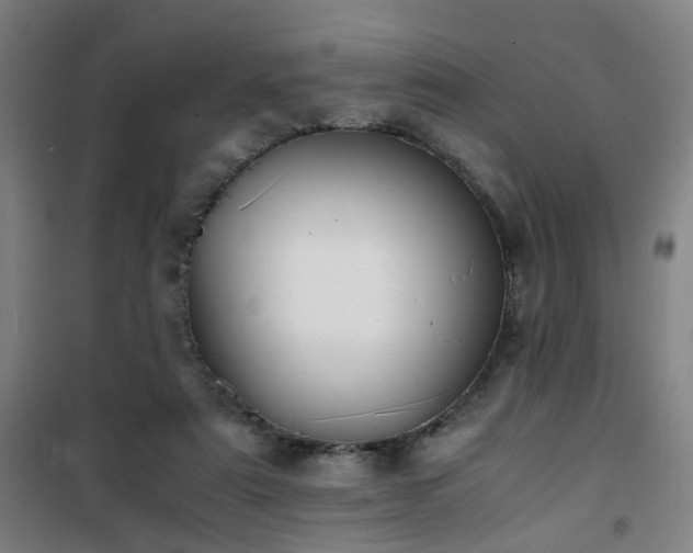 X0000101660307200807101300