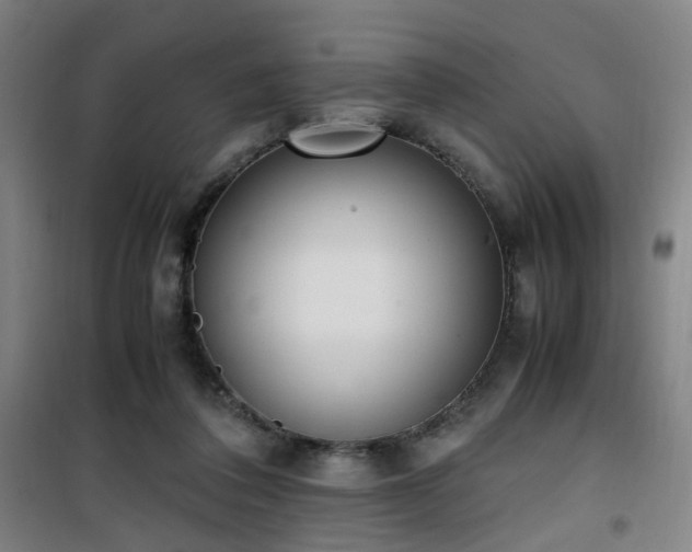 X0000101660308200807101300