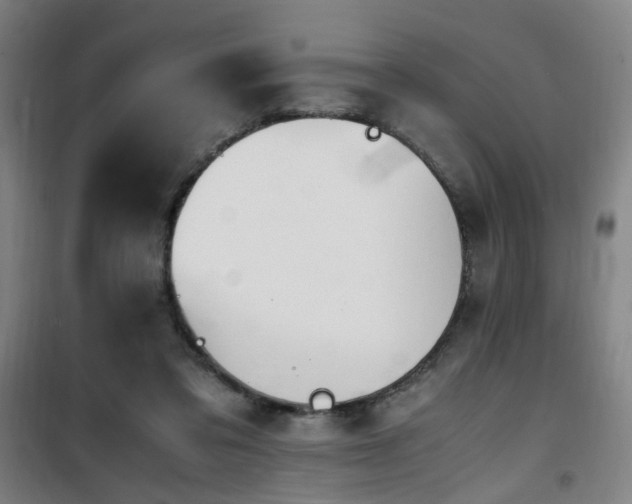 X0000101660309200807101300