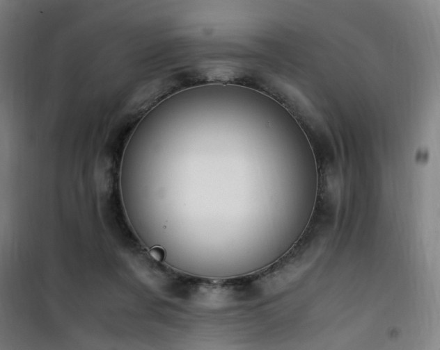 X0000101660311200807101300