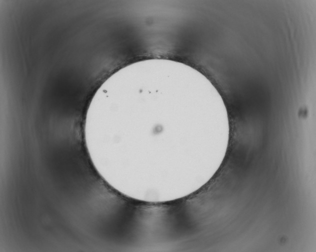 X0000101660313200807101300